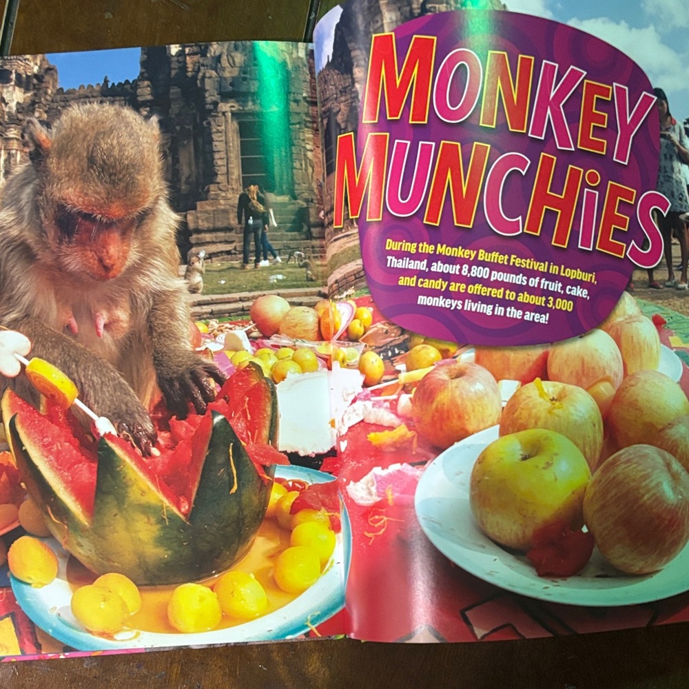 Kids Fun Facts Book - Ripley’s!!♥️♥️♥️ - Picture 3 of 4